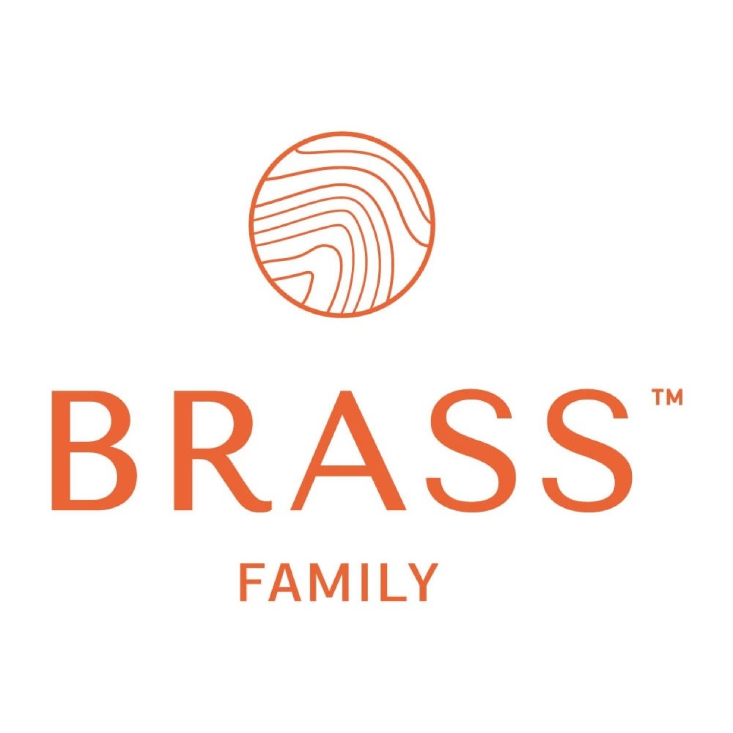 Отель "Brass-family"